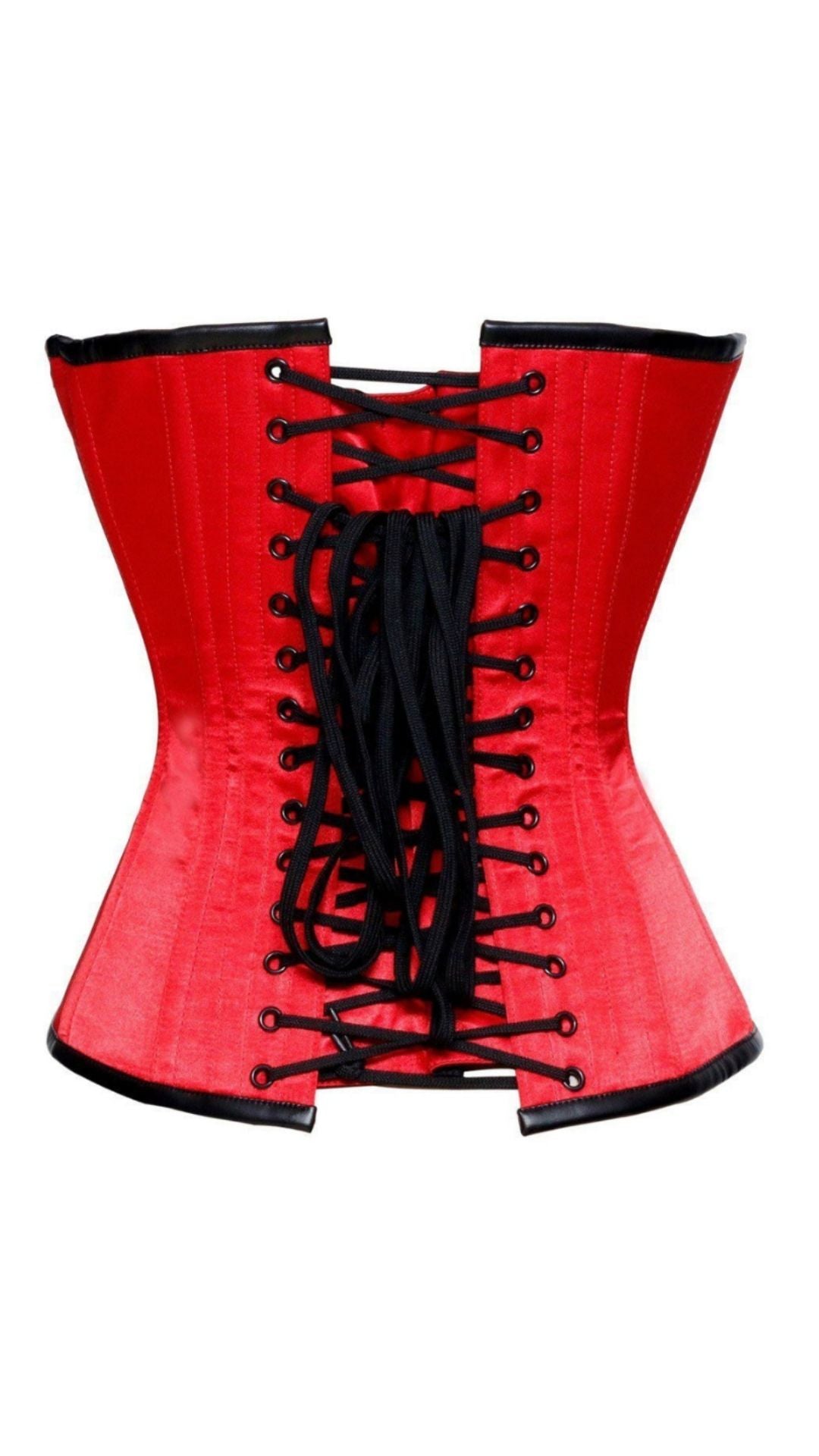 Naughty Kitten Clothing Ashen Deluxe Dragon Corset Rear View