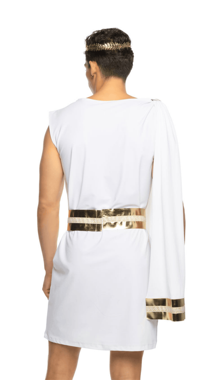 Naughty Kitten Clothing Gilded Greek God Men's Halloween Costume Rear View