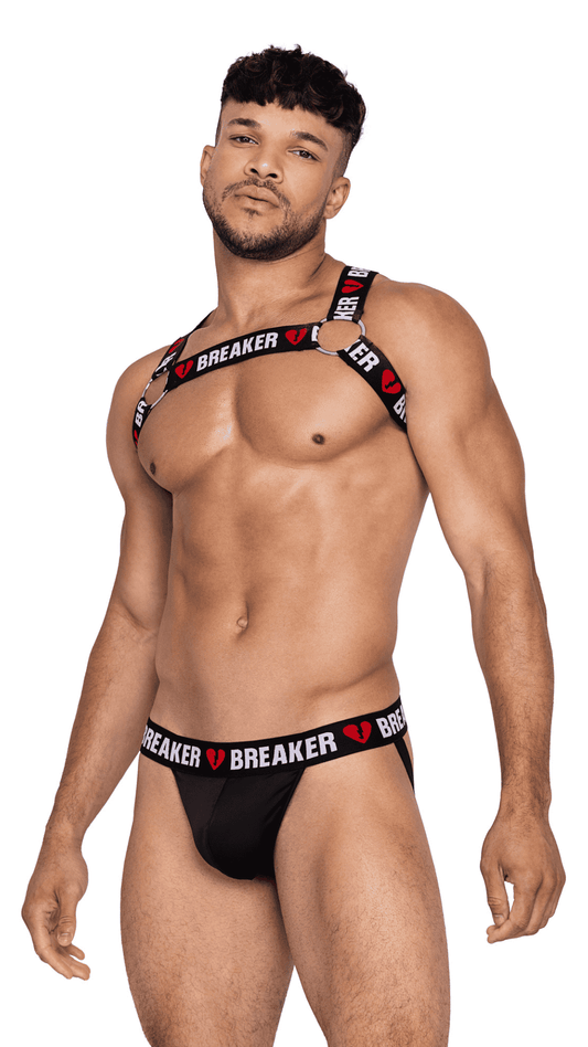 Naughty Kitten Clothing Heartbreaker Harness Front View Men's Lingerie