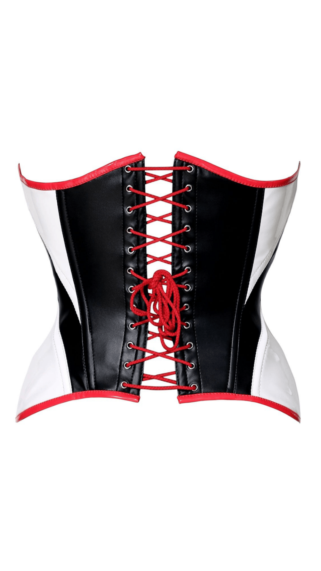 Naughty Kitten Jackson Contour Panel Corset Rear View