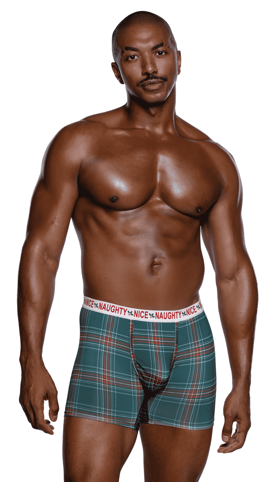 Naughty & Nice Boxer Briefs – men’s plaid print modal knit boxers with contoured pouch and logo elastic, front view