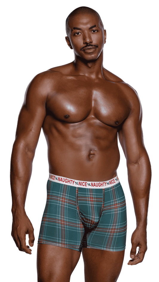 Naughty & Nice Boxer Briefs – men’s plaid print modal knit boxers with contoured pouch and logo elastic, front view
