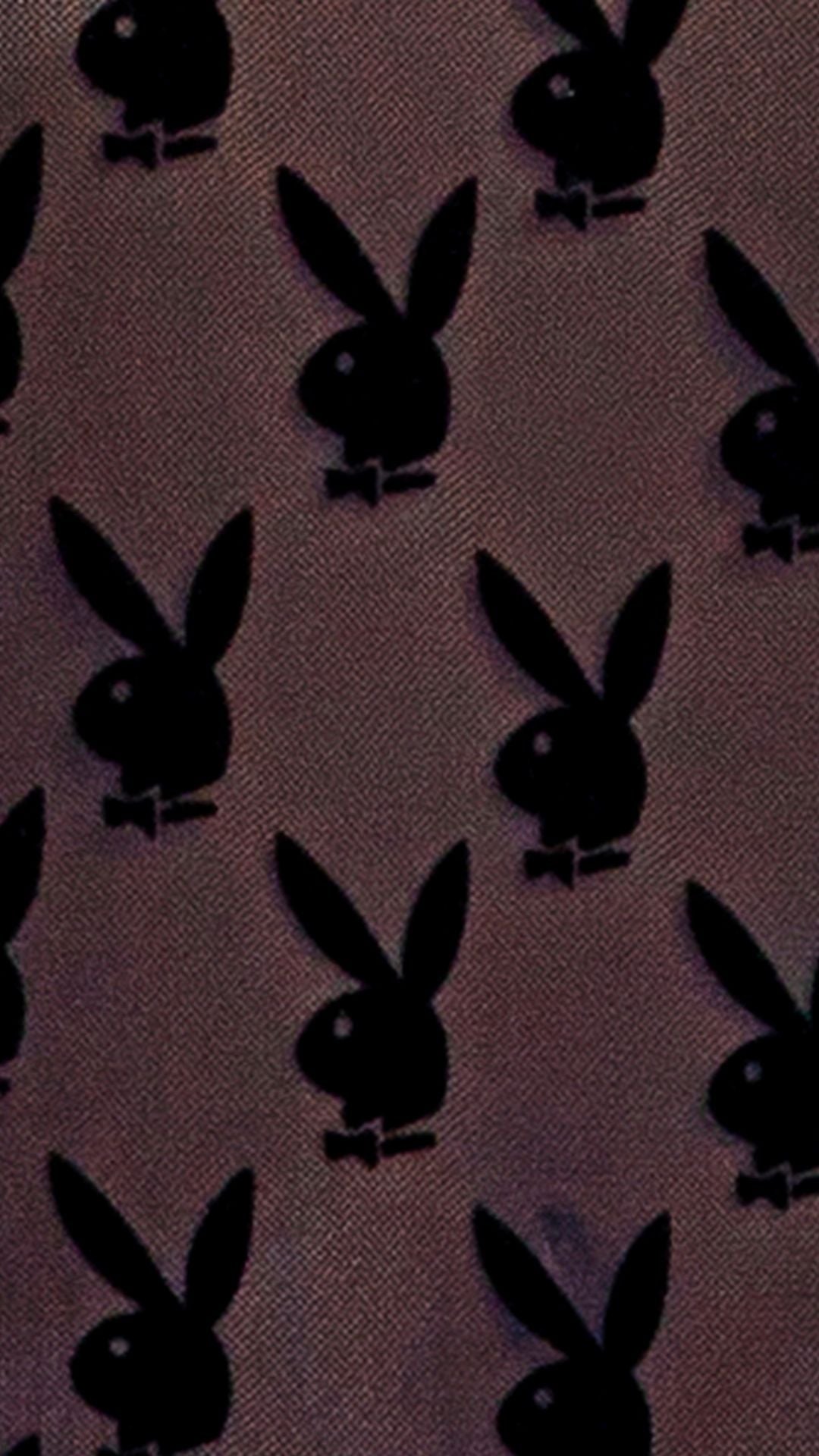 Naughty Kitten Clothing Playboy Bunny Noir Chemise Close Up View Playboy Lingerie