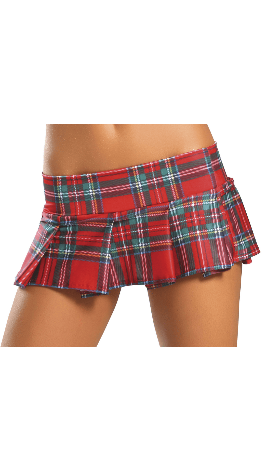 Naughty Kitten Costume Accessories Pleated School Girl Skirt Front View