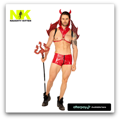 Naughty Kitten Lucifers Desire Devil Costume Front View Halloween Costume