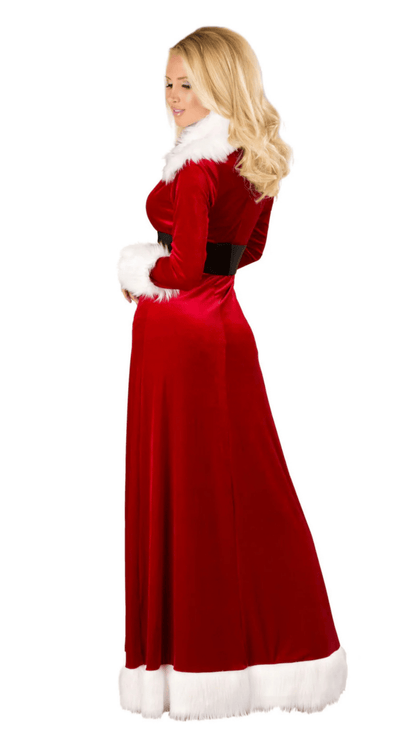 Naughty Kitten Clothing Sexy Miss Claus Costume Rear View Women's Christmas Costume
