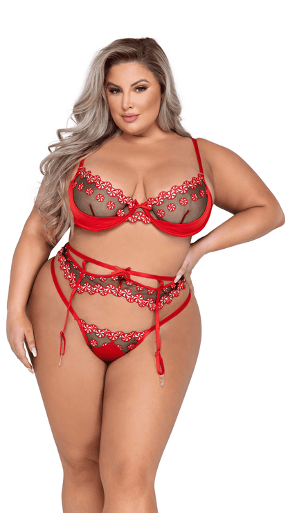 Naughty Kitten Sweet & Sticky 3-Piece Garter Set Front View Lingerie Plus Size