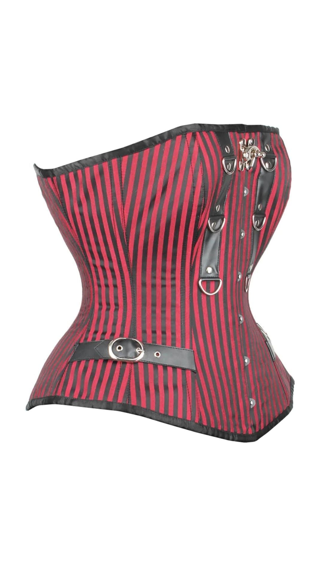 Naughty Kitten Clothing The Impalers Embrace Corset Side View  Over-bust Corset