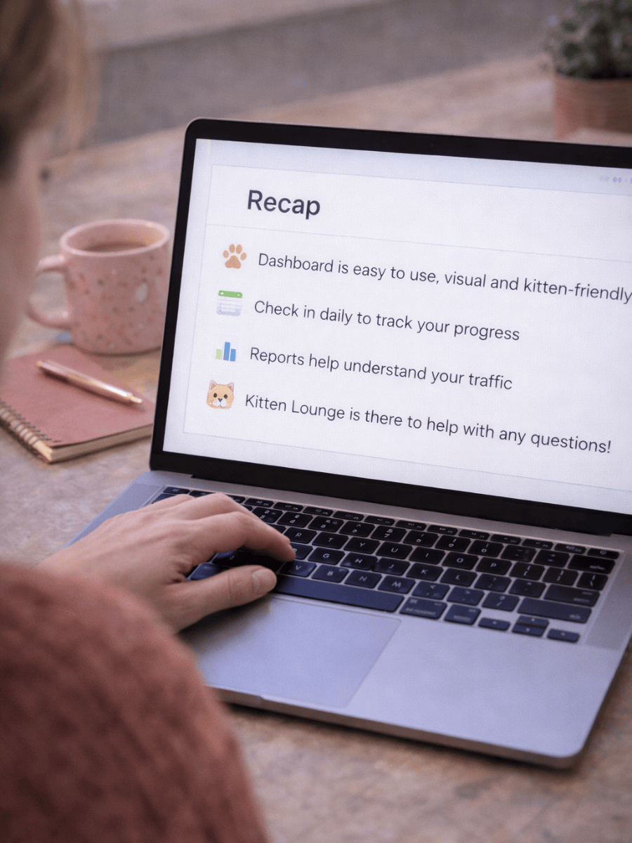 Naughty Kitten Clothing The Kitten Dashboard Article - Recap Image